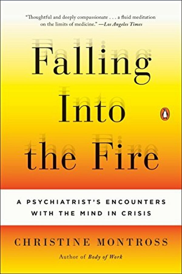 Falling Into The Fire: A Psychiatrist's Encounters With The Mind In Crisis-..