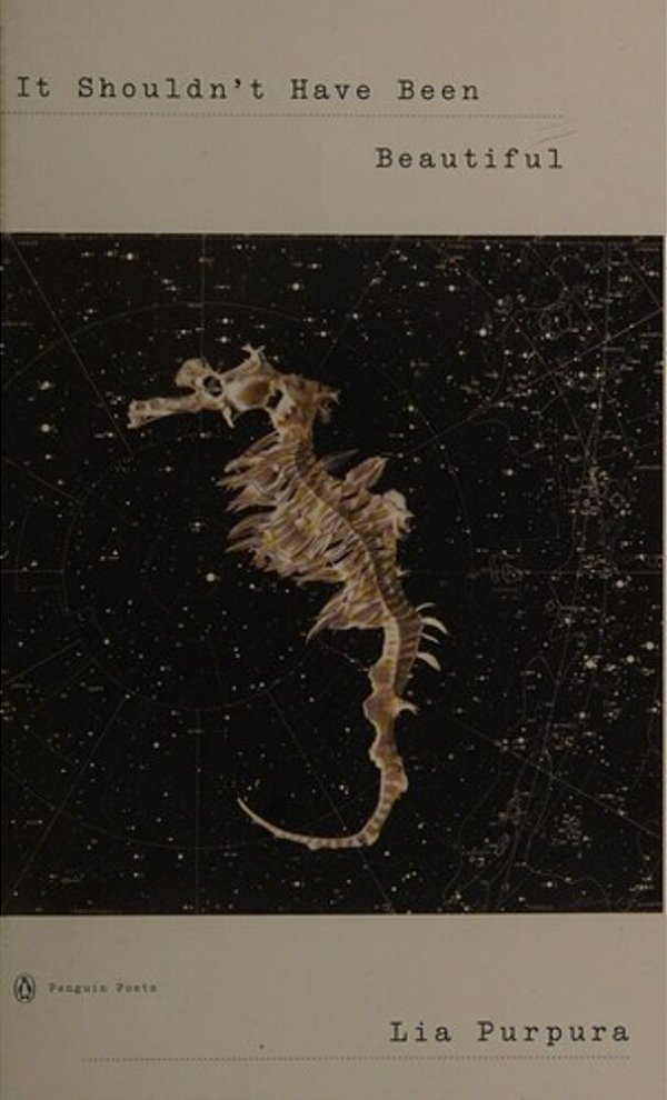 It Shouldn't Have Been Beautiful-..