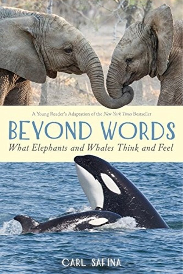 Beyond Words: What Elephants And Whales Think And Feel (A Young Reader's Adaptation)-..