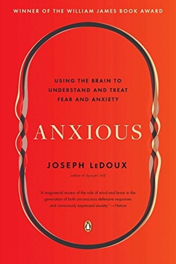 Anxious: Using The Brain To Understand And Treat Fear And Anxiety-..