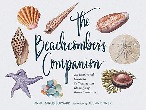 The Beachcomber's Companion: An Illustrated Guide To Collecting And Identifying Beach Treasures-..
