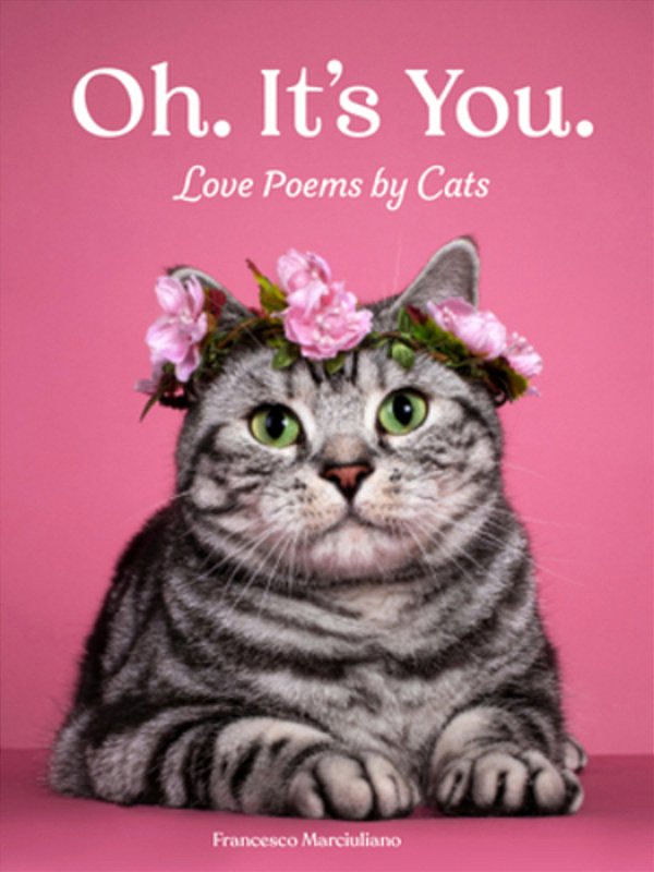 Oh. It's You.: Love Poems By Cats-..