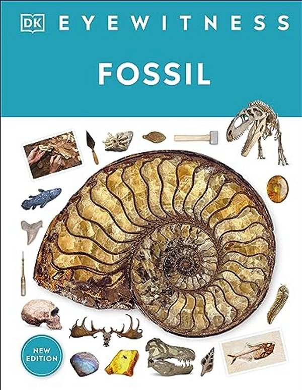 Fossil-..