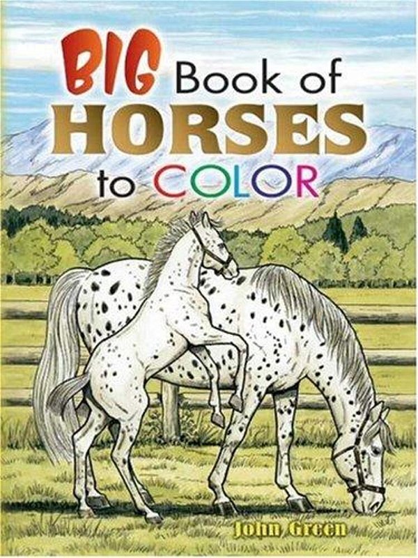 Big Book Of Horses To Color-..