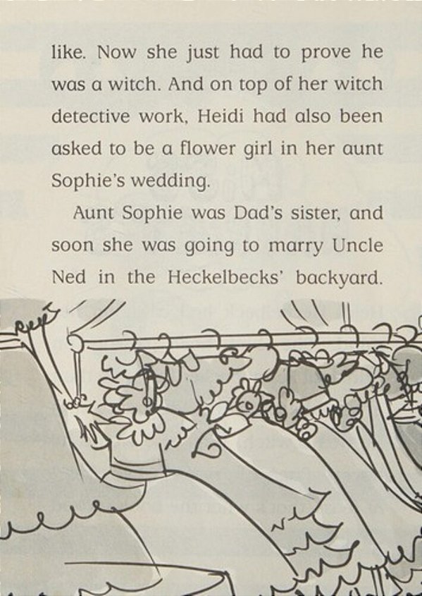 Heidi Heckelbeck Is A Flower Girl-..