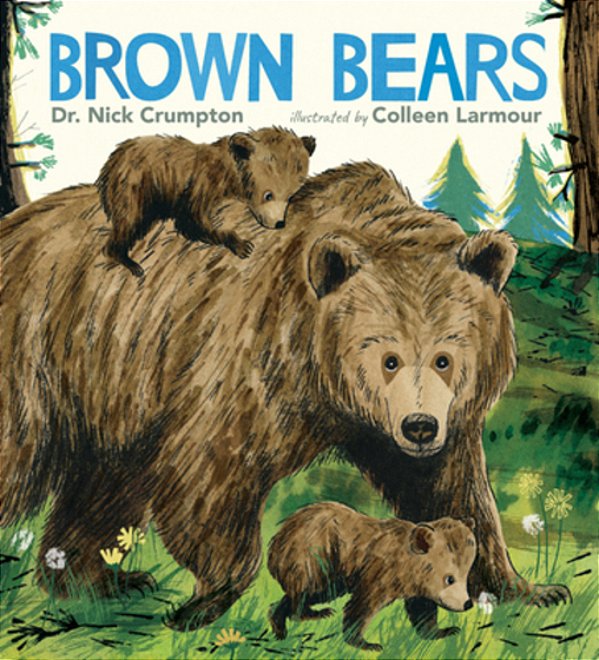Brown Bears-..