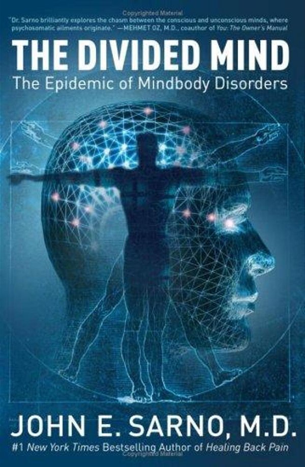 The Divided Mind: The Epidemic Of Mindbody Disorders-..
