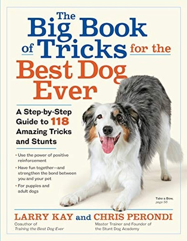 The Big Book Of Tricks For The Best Dog Ever: A Step-By-step Guide To 118 Amazing Tricks And Stunts-..