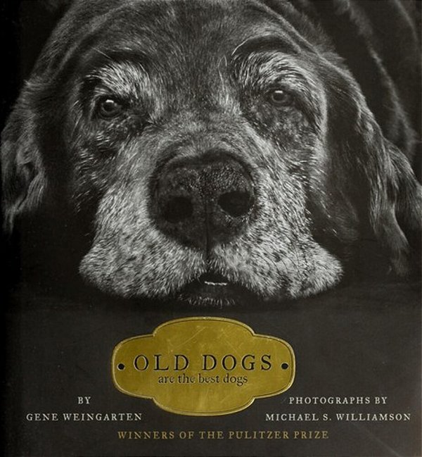 Old Dogs: Are The Best Dogs-..