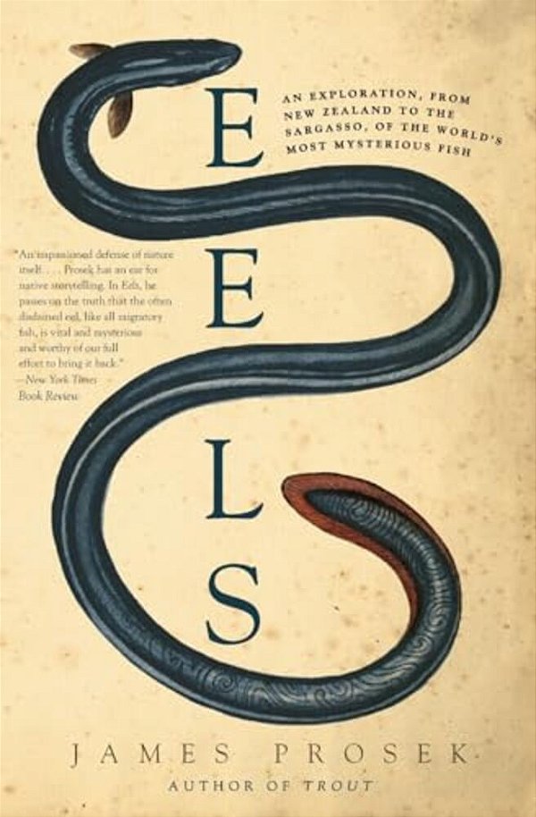 Eels: An Exploration, From New Zealand To The Sargasso, Of The World's Most Mysterious Fish-..