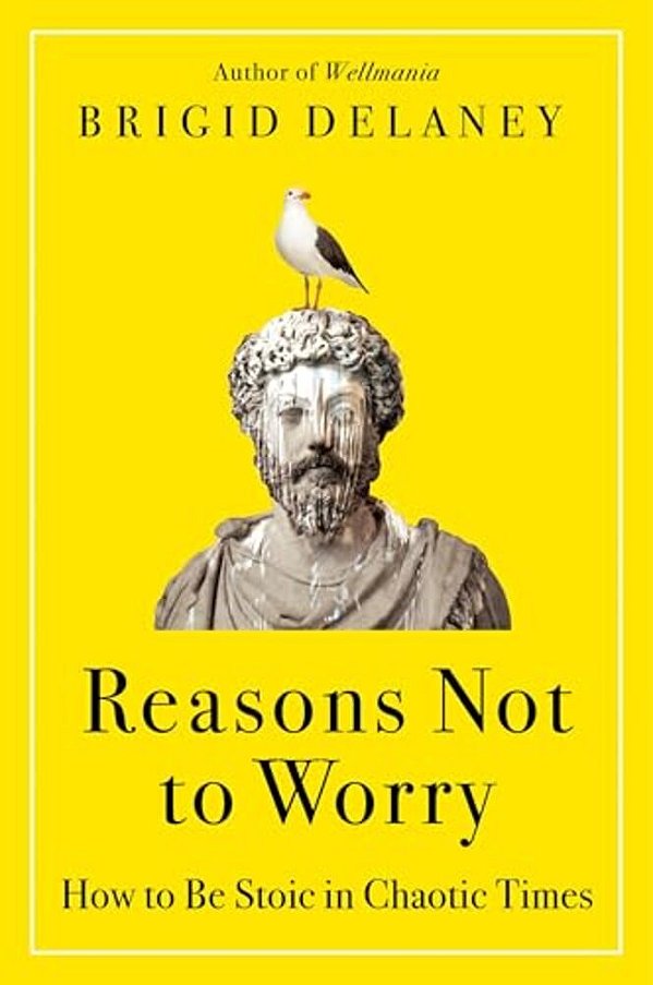 Reasons Not To Worry: How To Be Stoic In Chaotic Times-..