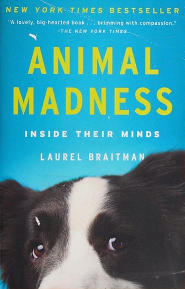 Animal Madness: Inside Their Minds-..