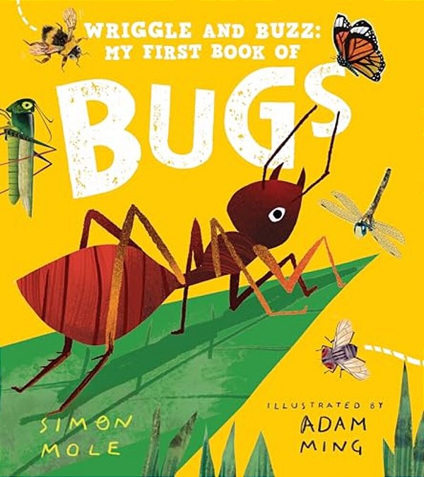 Wriggle And Buzz: My First Book Of Bugs-..