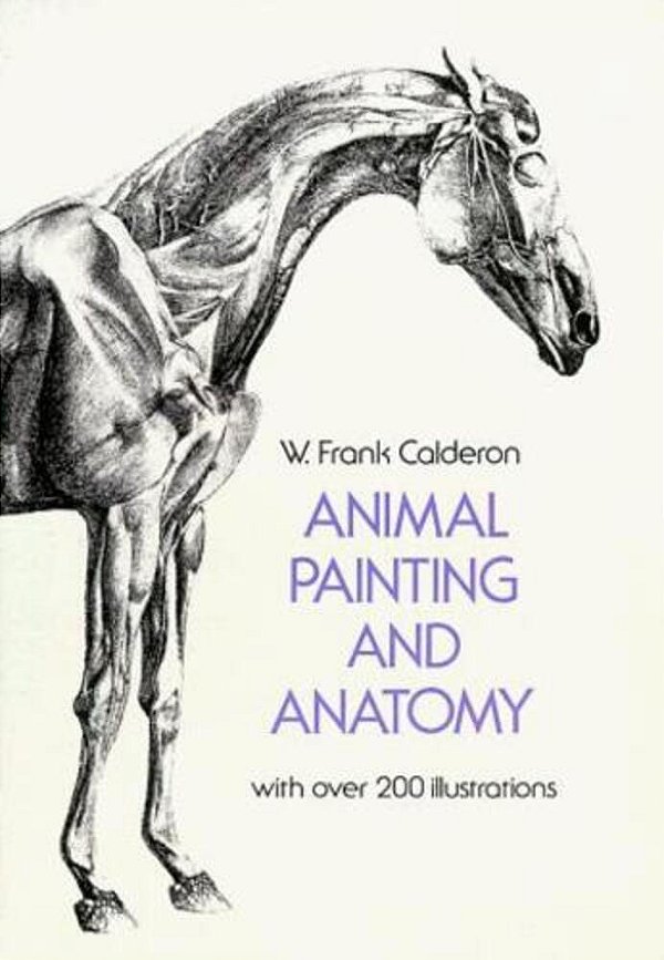 Animal Painting And Anatomy-..