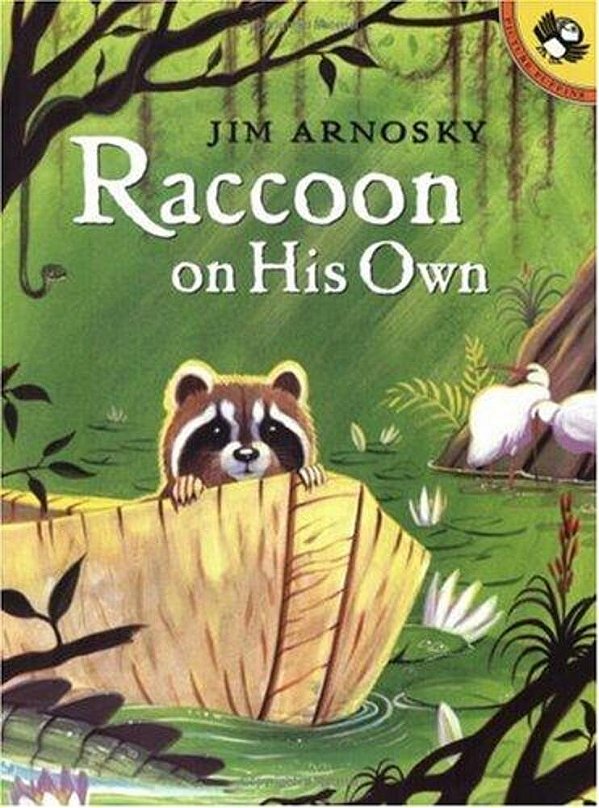 Raccoon On His Own-..