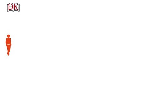 English For Everyone Everyday English: Learn And Practice Over 1,500 Words And Phrases-..