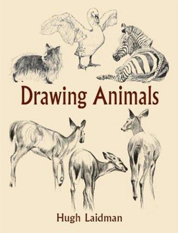 Drawing Animals-..