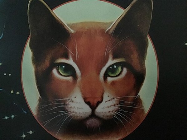 Dork Diaries 11: Tales From A Not-So-friendly Frenemy-..