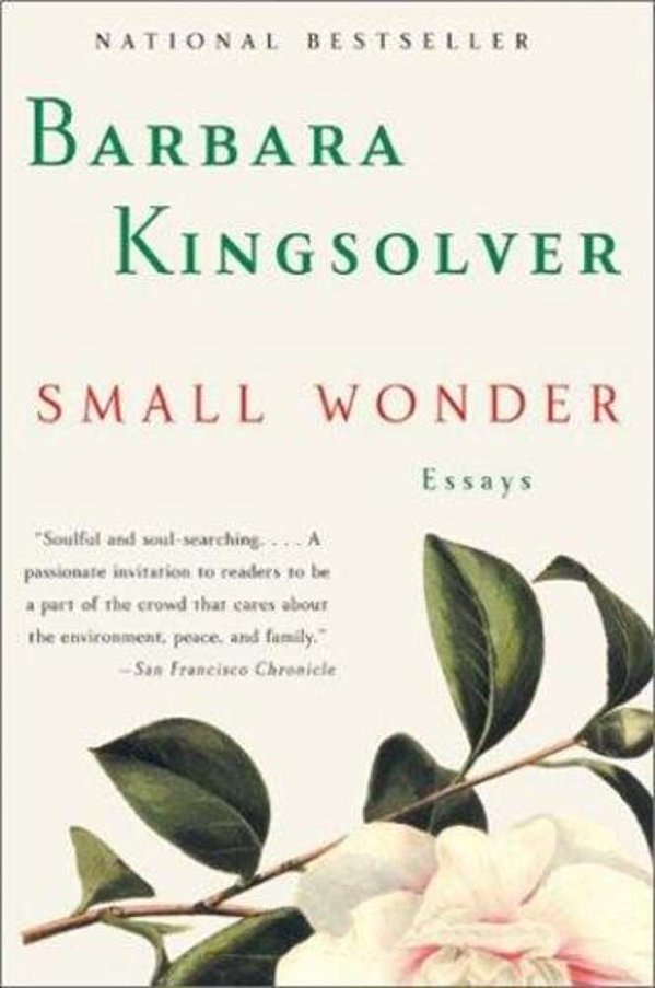 Small Wonder: Essays-..