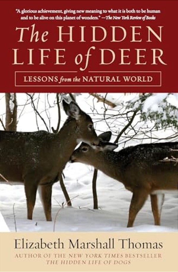 The Hidden Life Of Deer: Lessons From The Natural World-..