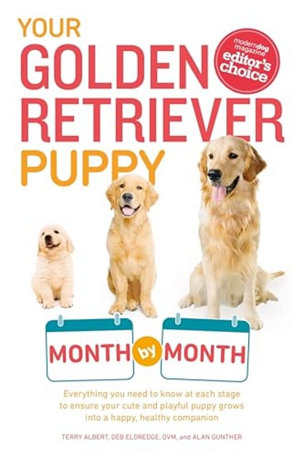 Your Golden Retriever Puppy Month By Month: Everything You Need To Know At Each Stage To Ensure Your Cute And Playful Puppy-..