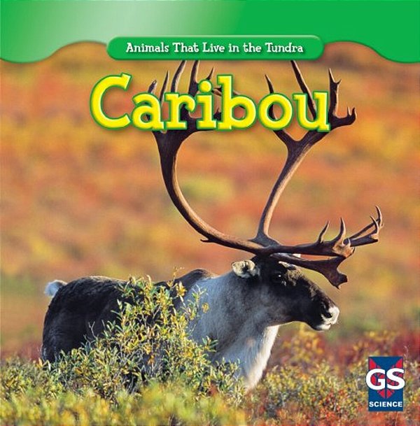 Caribou (Animals That Live On The Tundra)-..