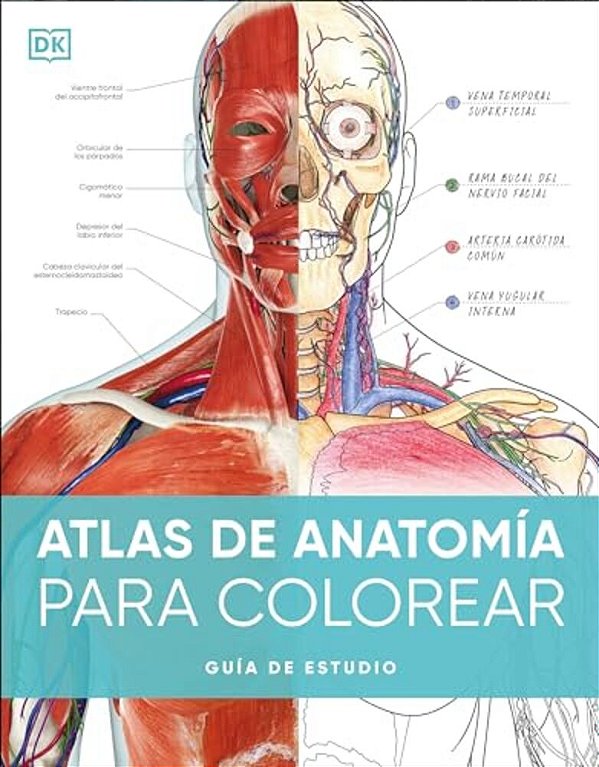 Atlas De Anatomia Para Colorear (The Human Body Coloring Book): Guia De Estudio-..