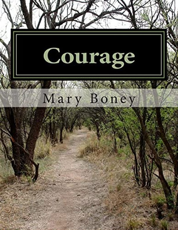Courage: A Collection: Harry Plane And Life Lessons-..