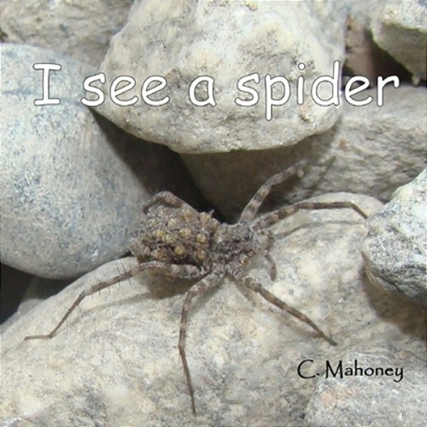 I See A Spider: At Bonita Falls In Lyttle Creek-..