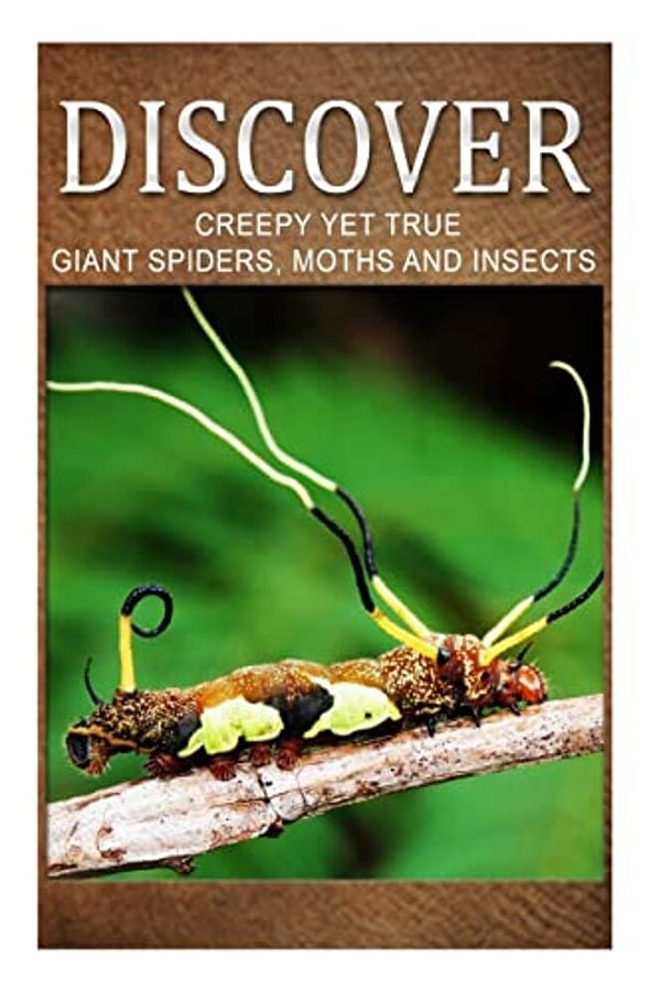 Creepy Yet True Giant Spiders, Moths And Insects - Discover: Early Reader's Wildlife Photography Book-..