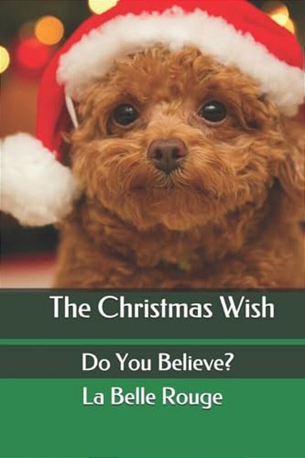 The Christmas Wish: Do You Believe?-..
