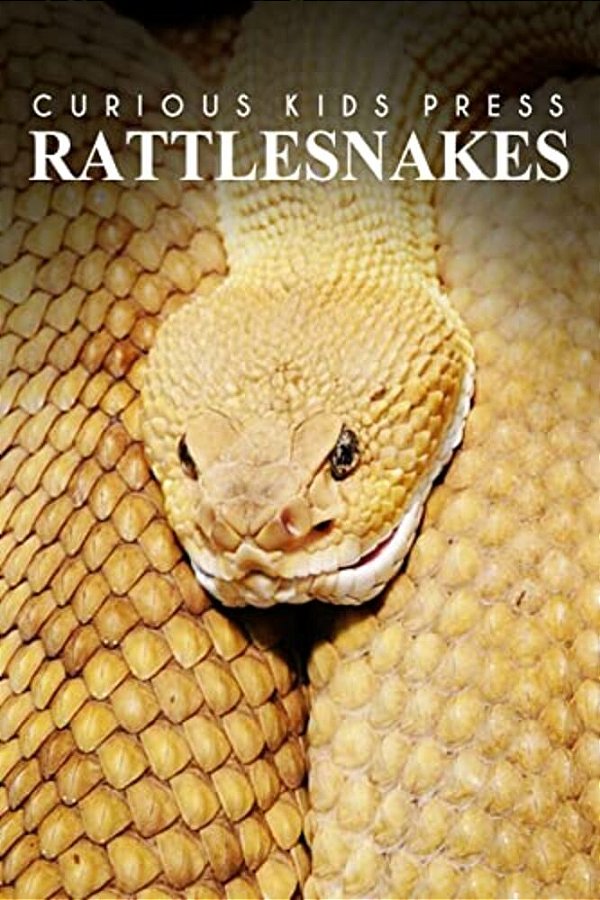 Rattle Snakes - Curious Kids Press: Kids Book About Animals And Wildlife, Children's Books 4-6-..