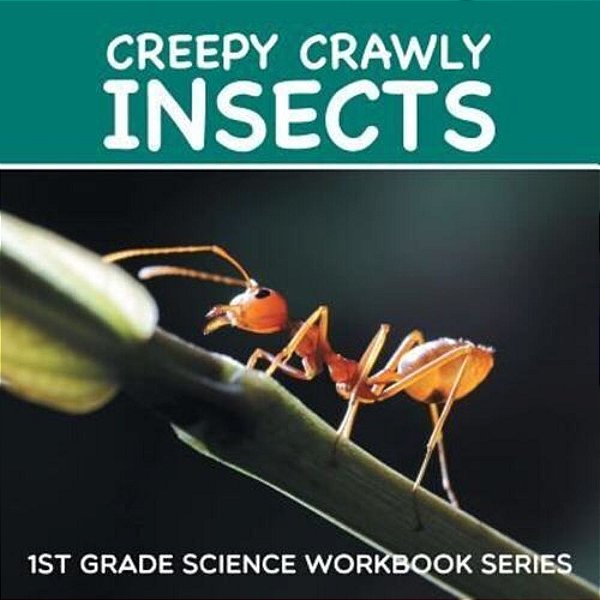 Creepy Crawly Insects: 1ST Grade Science Workbook Series-..