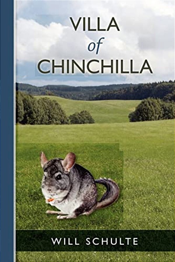 Villa Of Chinchilla-..