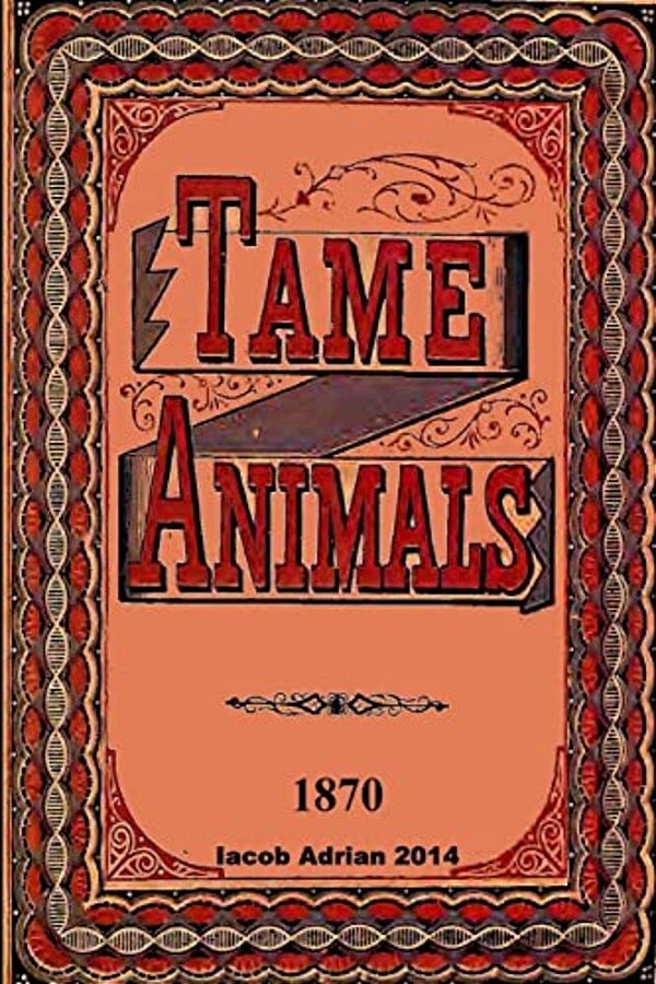 Tame Animals 1870-..