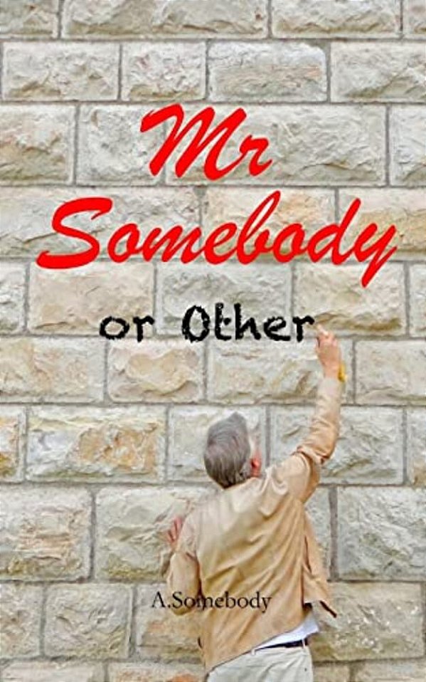 Mr Somebody Or Other: A Journey - A Dream - An Idiot. Laugh Out Loud Feel Good Memoirs Of An Everyday Man Who Is Nobody Else's Fool. -..