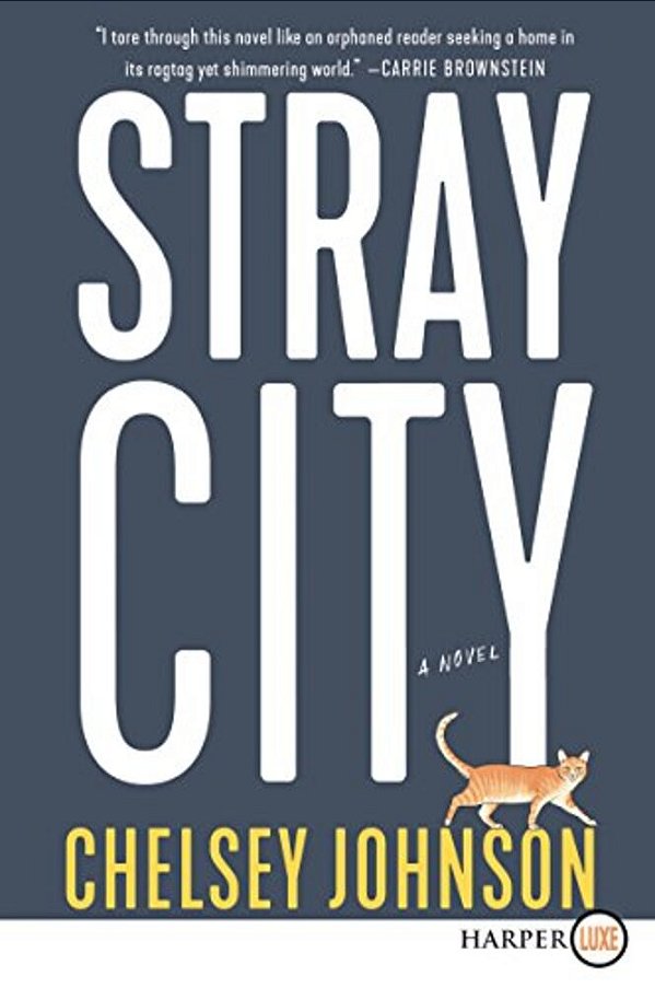 Stray City-..