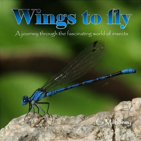 Wings To Fly: A Journey Through The Fascinating World Of Insects-..