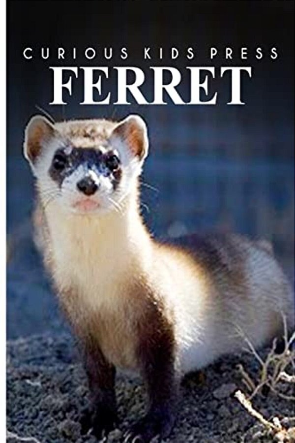 Ferret - Curious Kids Press: Kids Book About Animals And Wildlife, Children's Books 4-6-..