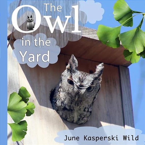 The Owl In The Yard-..