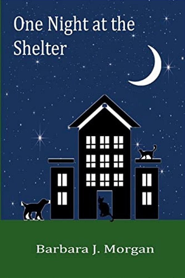 One Night At The Shelter-..