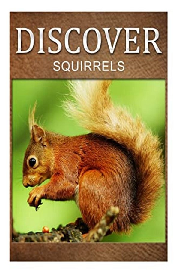Squirrel - Discover: Early Reader's Wildlife Photography Book-..