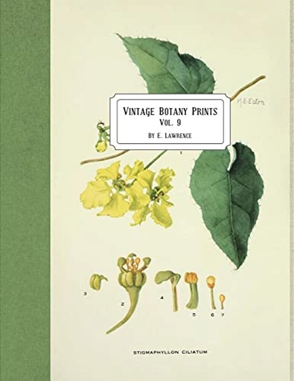 Vintage Botany Prints: Vol. 9-..