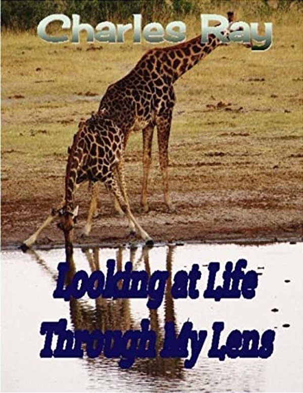 Looking At Life Through My Lens-..