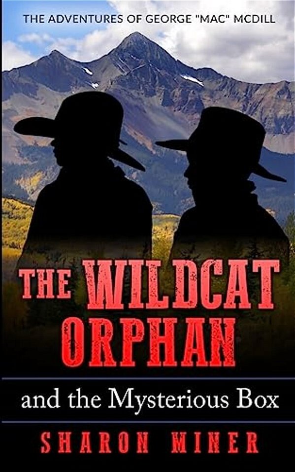 The Wildcat Orphan And The Mysterious Box-..