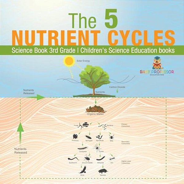 The 5 Nutrient Cycles - Science Book 3RD Grade Children's Science Education Books-..