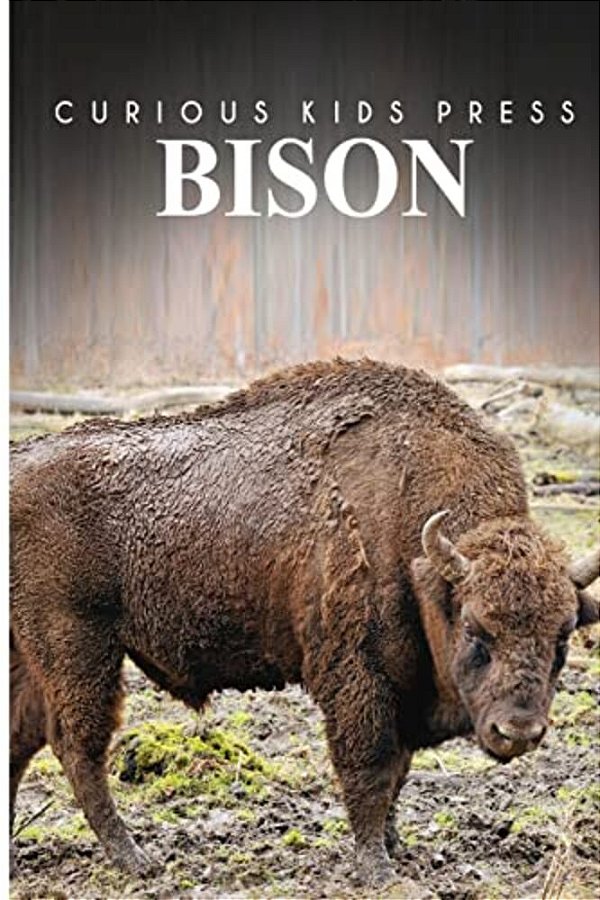Bison - Curious Kids Press-..