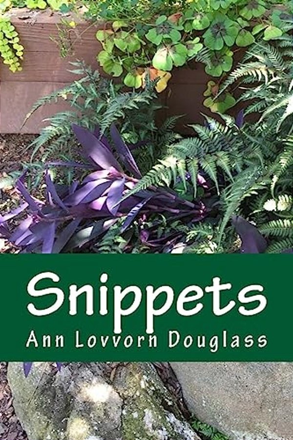 Snippets: Little Bits Of Life Captured And Shared-..