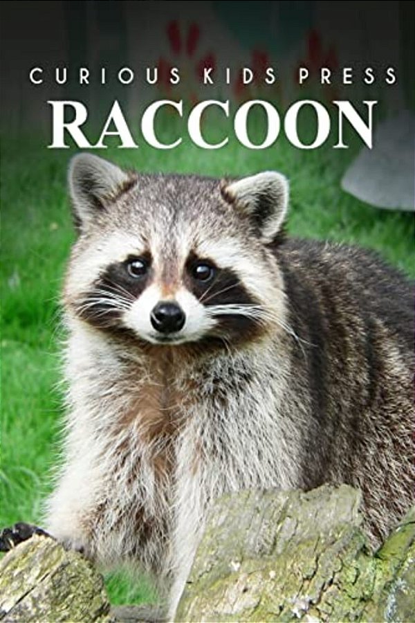 Raccoon - Curious Kids Press-..