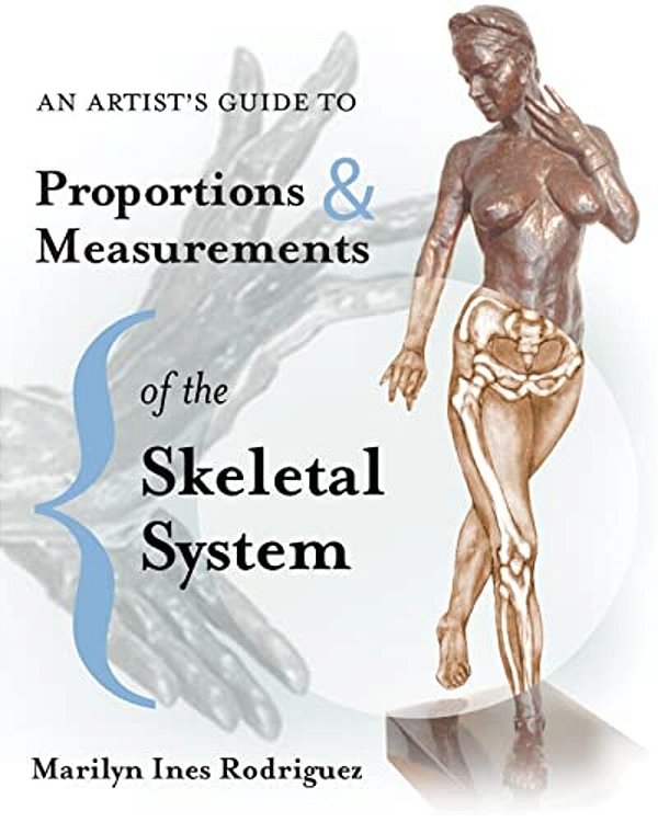 An Artist's Guide To Proportions & Measurements Of The Skeletal System-..